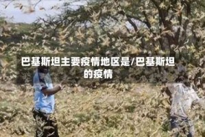 巴基斯坦主要疫情地区是/巴基斯坦的疫情
