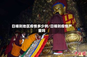 日喀则地区疫情多少例/日喀则疫情严重吗