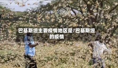 巴基斯坦主要疫情地区是/巴基斯坦的疫情-第1张图片