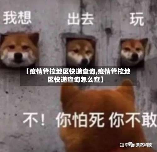 【疫情管控地区快递查询,疫情管控地区快递查询怎么查】-第2张图片
