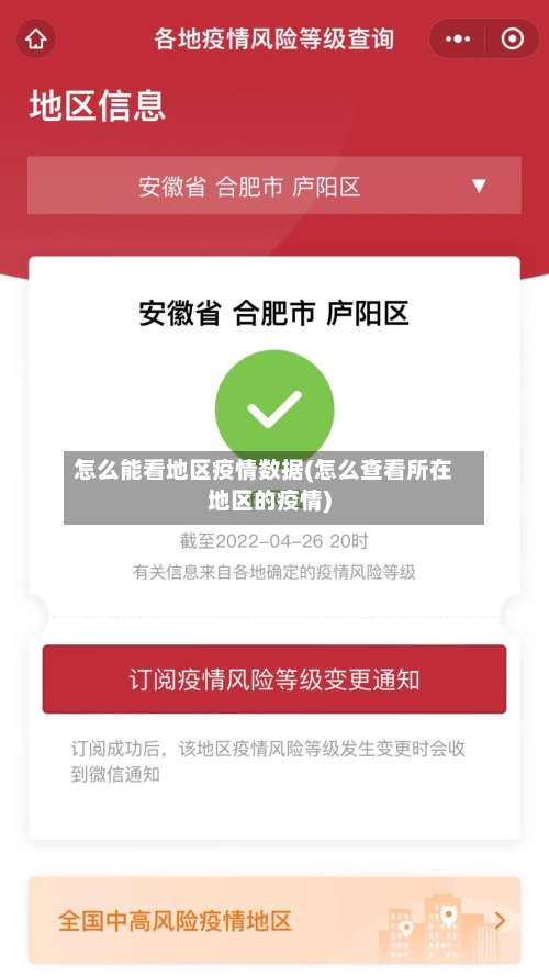 怎么能看地区疫情数据(怎么查看所在地区的疫情)-第1张图片