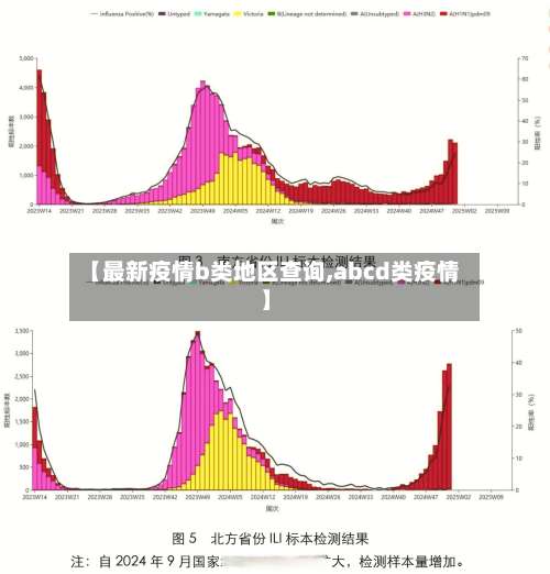 【最新疫情b类地区查询,abcd类疫情】-第2张图片